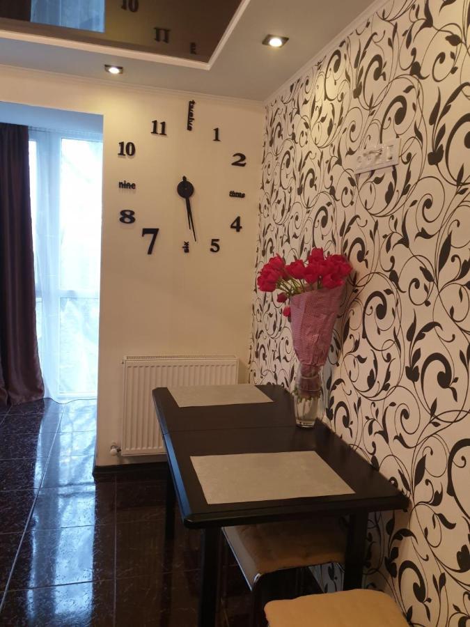 Elena'S Holiday Apartment Kamianets-Podilskyi Exterior photo